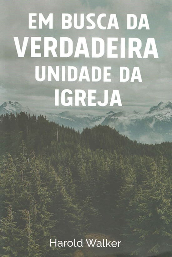 Em busca da verdadeira unidade da igreja